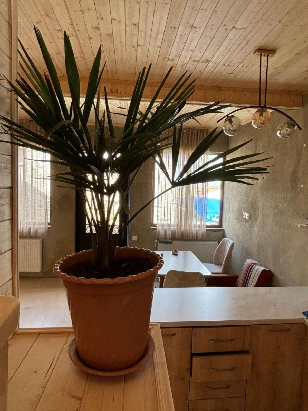 Family Hostel Nika カズベギ エクステリア 写真