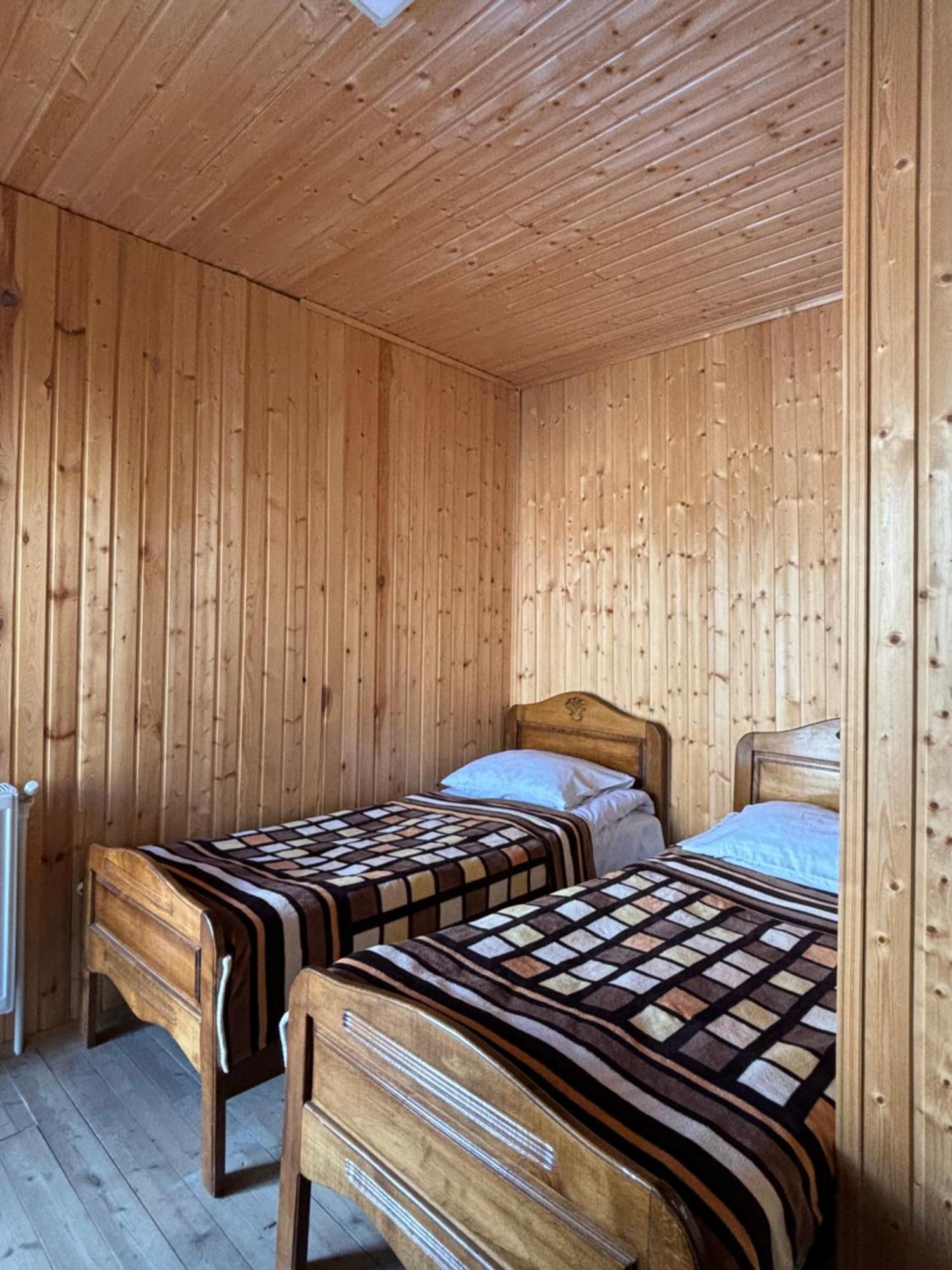 Family Hostel Nika カズベギ エクステリア 写真