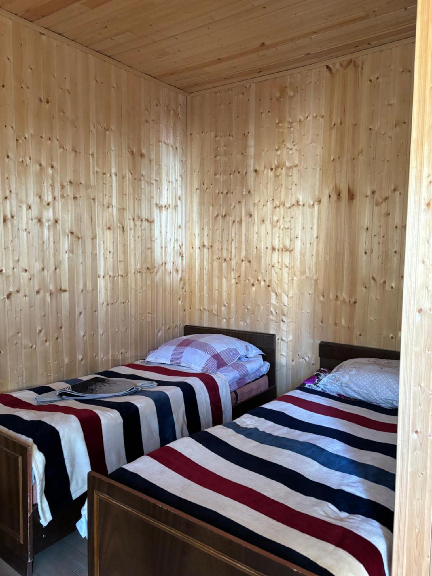 Family Hostel Nika カズベギ エクステリア 写真